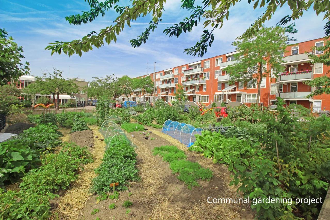 New Monumental Garden View Studio Amsterdam Oda fotoğraf